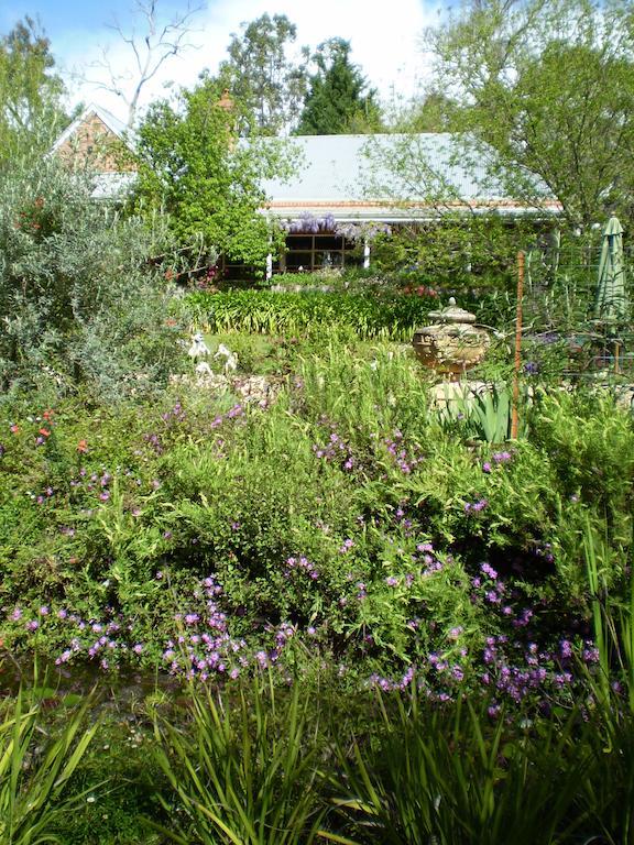 Redgum Hill Country Retreat Casa de hóspedes Balingup Quarto foto