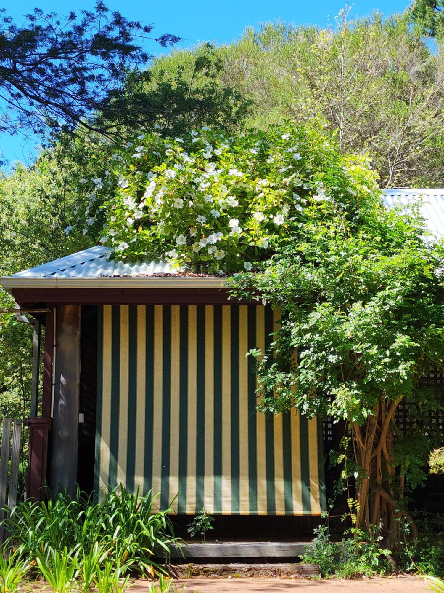 Redgum Hill Country Retreat Casa de hóspedes Balingup Exterior foto